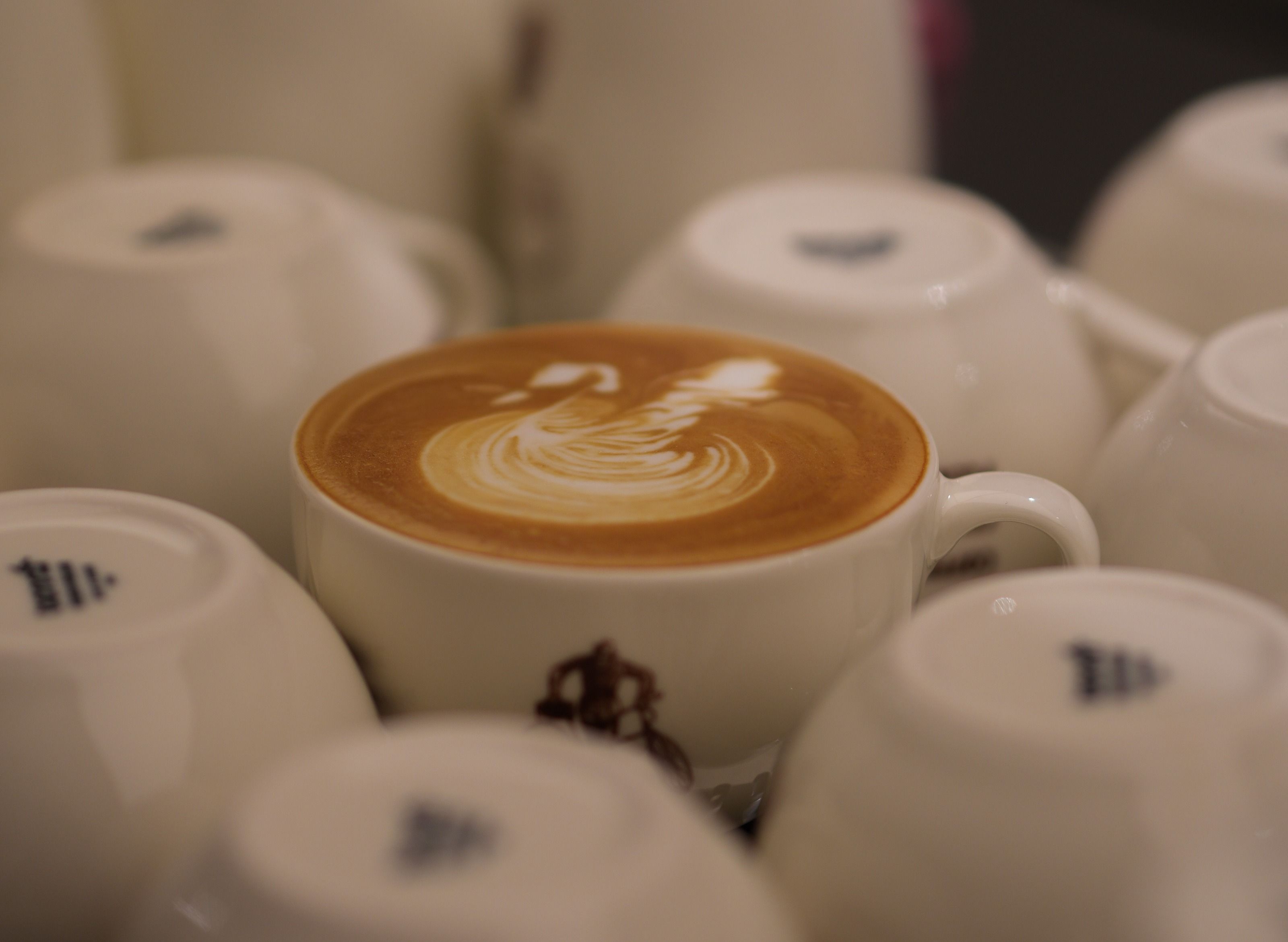 İmesta Coffee Roastery vendor logo