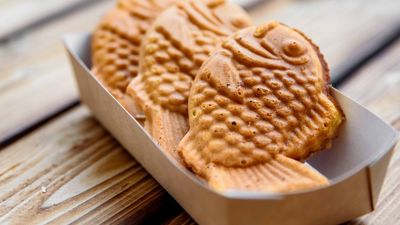 貓吃了叼魚燒