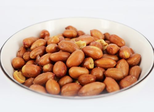 雙園燒腊板鴨食品有限公司