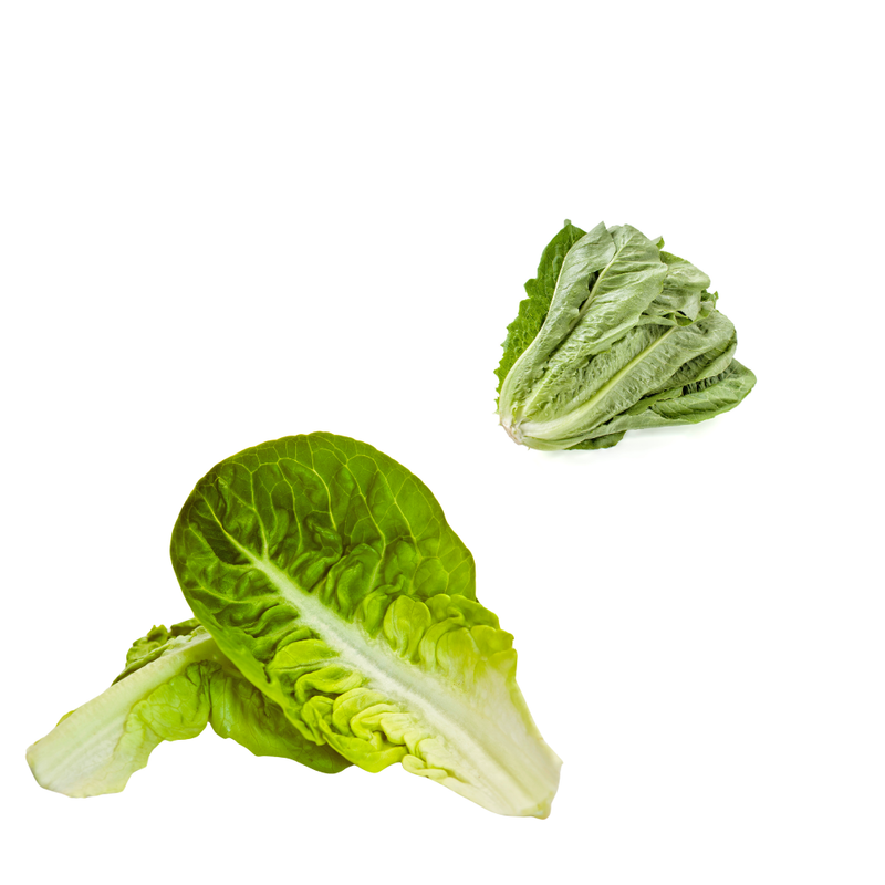 Salade Traditionnelle - Prête à l'Emploi
