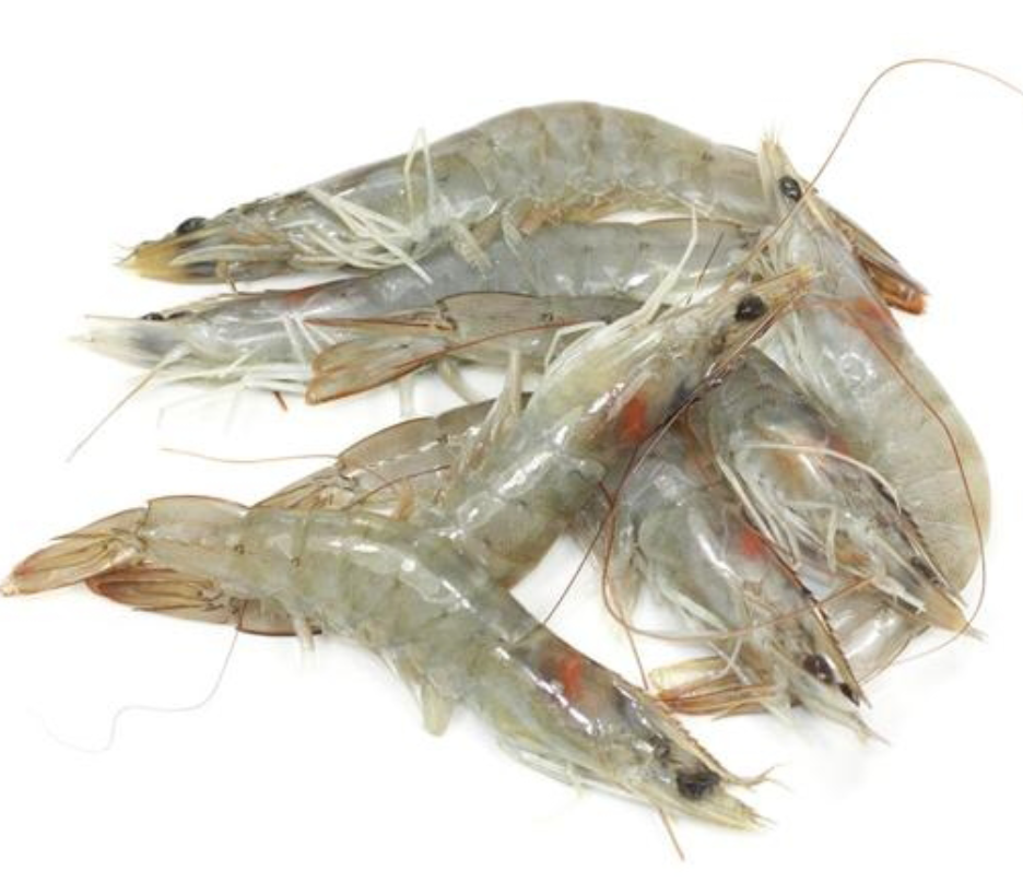 Crevettes Grises Fraîches – 500 g
