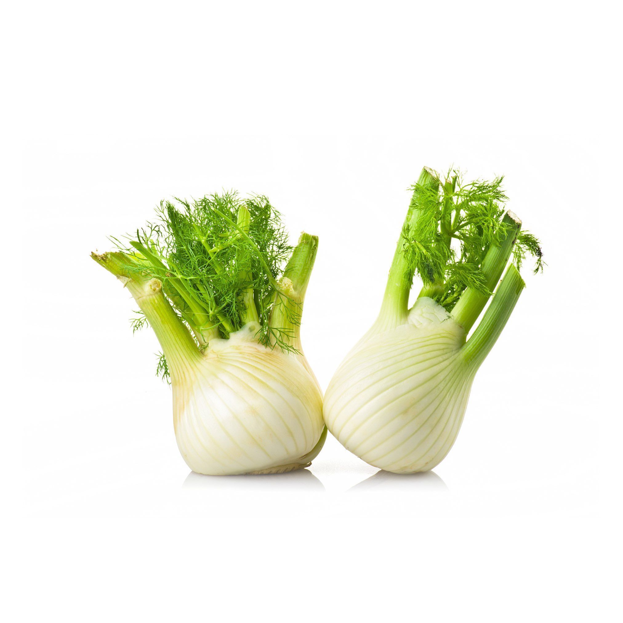 Fenouil Frais Parfumé – 1 kg