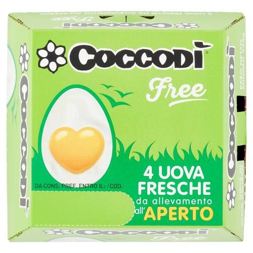 Carrefour Classic Uova Fresche da Galline Allevate a Terra Categoria A  Grandi x6