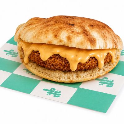 Taamia Cheddar