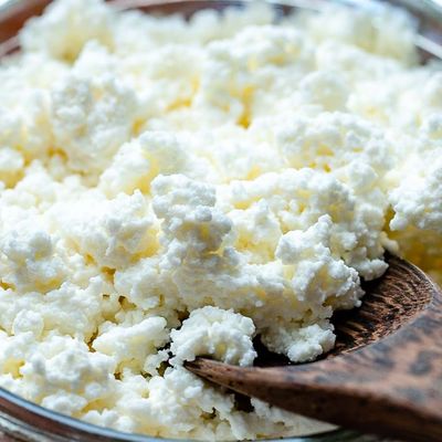Ricotta Cheese