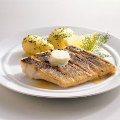 Zander Fillet