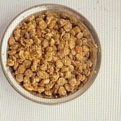Lentil