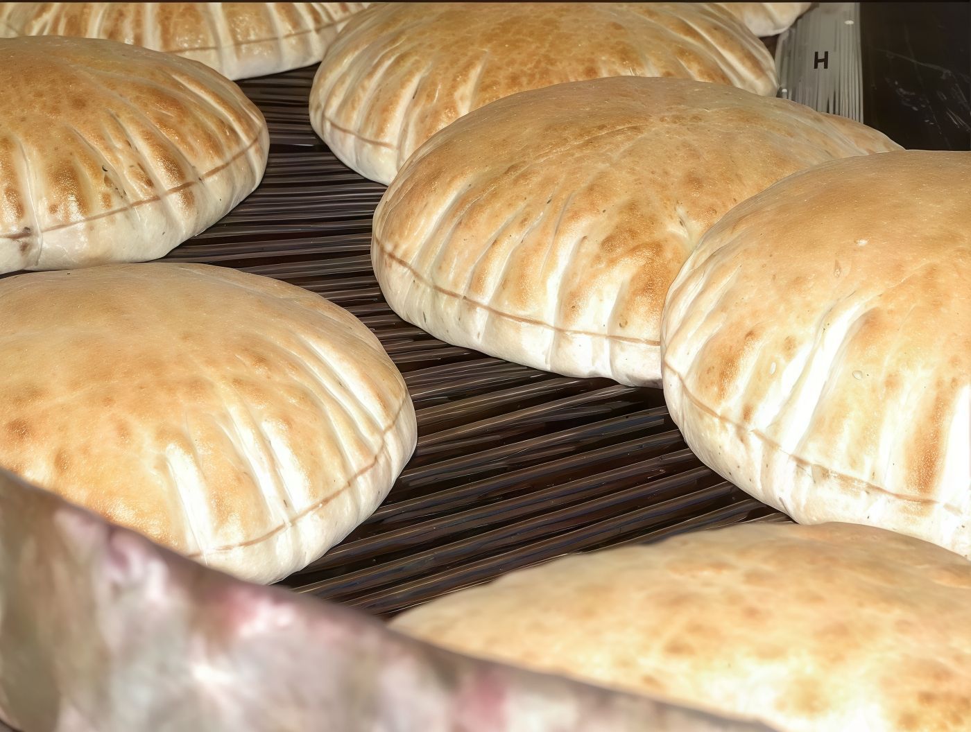 Shami Bread Bundle