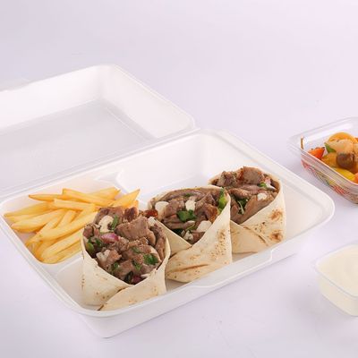 Arabian Meat Shawerma Platter