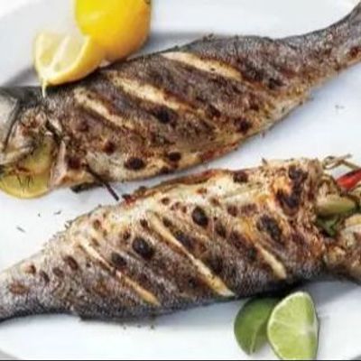 Croaker Fish