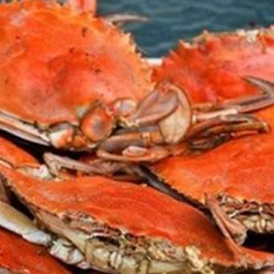 Crabs White Sauce