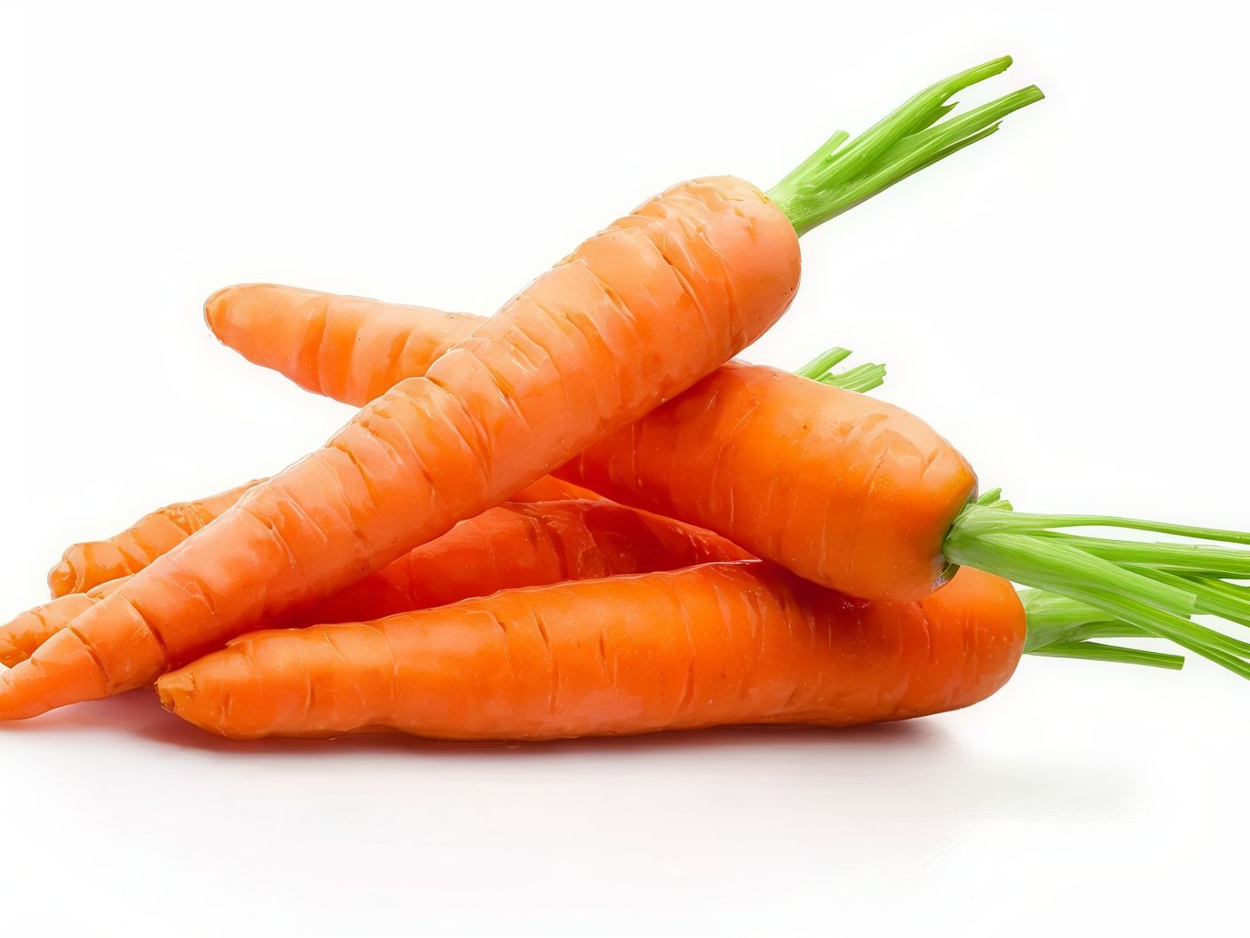 Carrot