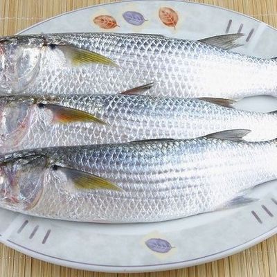 Fresh raw cleaned mullet