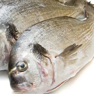 Fresh Raw Sea Bream