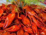 Boiled Mini Lobster