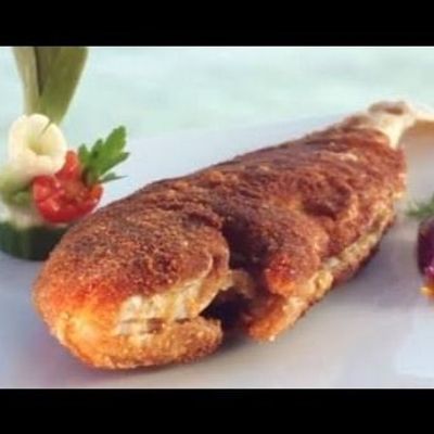 Fried Swiss Baladi Coral