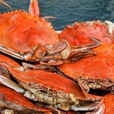 Female Crabs