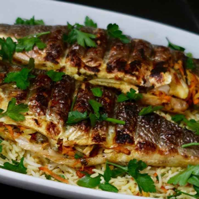 Sea Bass Fish