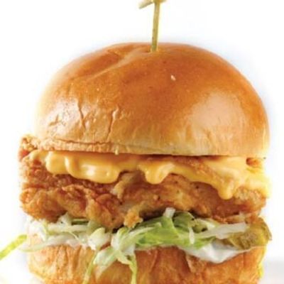 Chicken Cheese