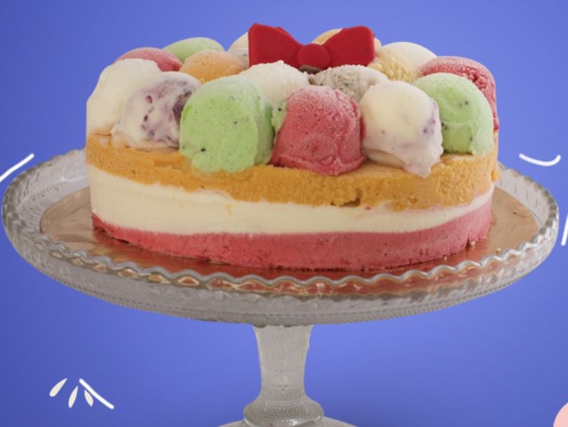 Festival Ice Cream Torte Size 18