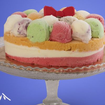 Festival Ice Cream Torte Size 18