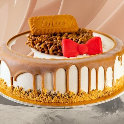 Lotus Ice Cream Cake 18Cm