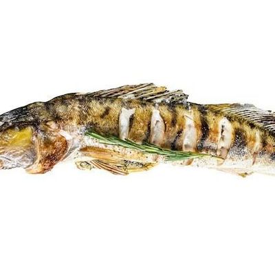 Half Kilo Offer - Grilled Nile Perch Fish Fillet