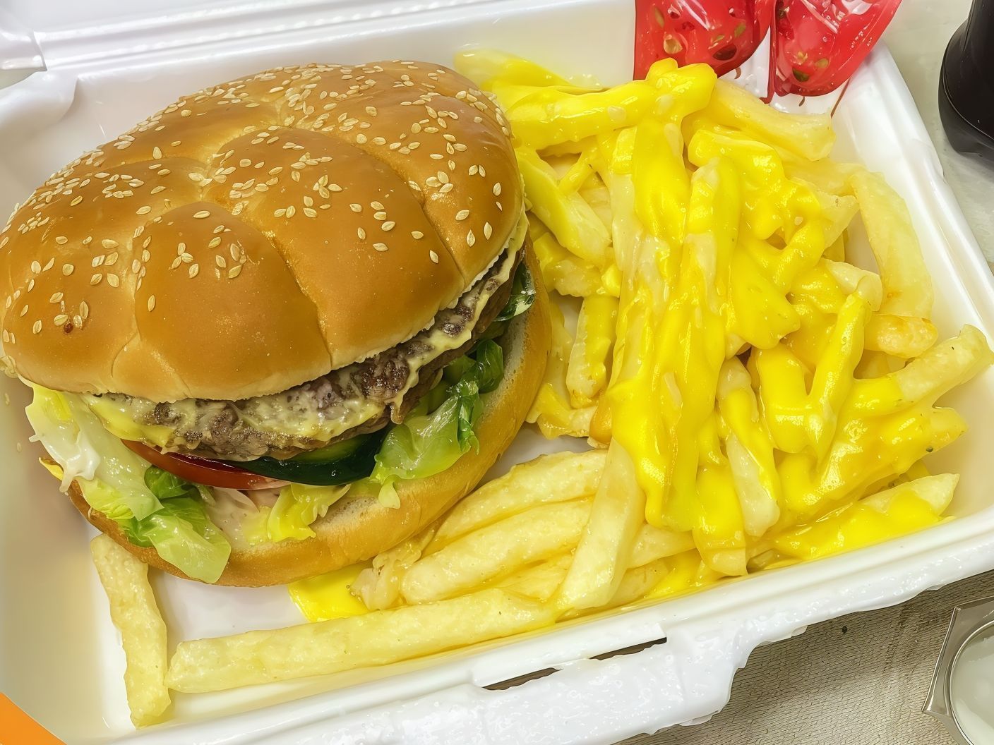 Plain burger sandwich