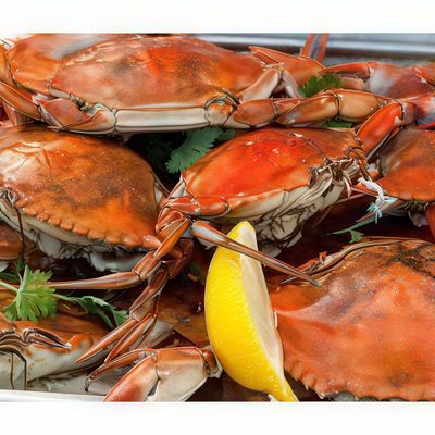 Grilled Female Crabs