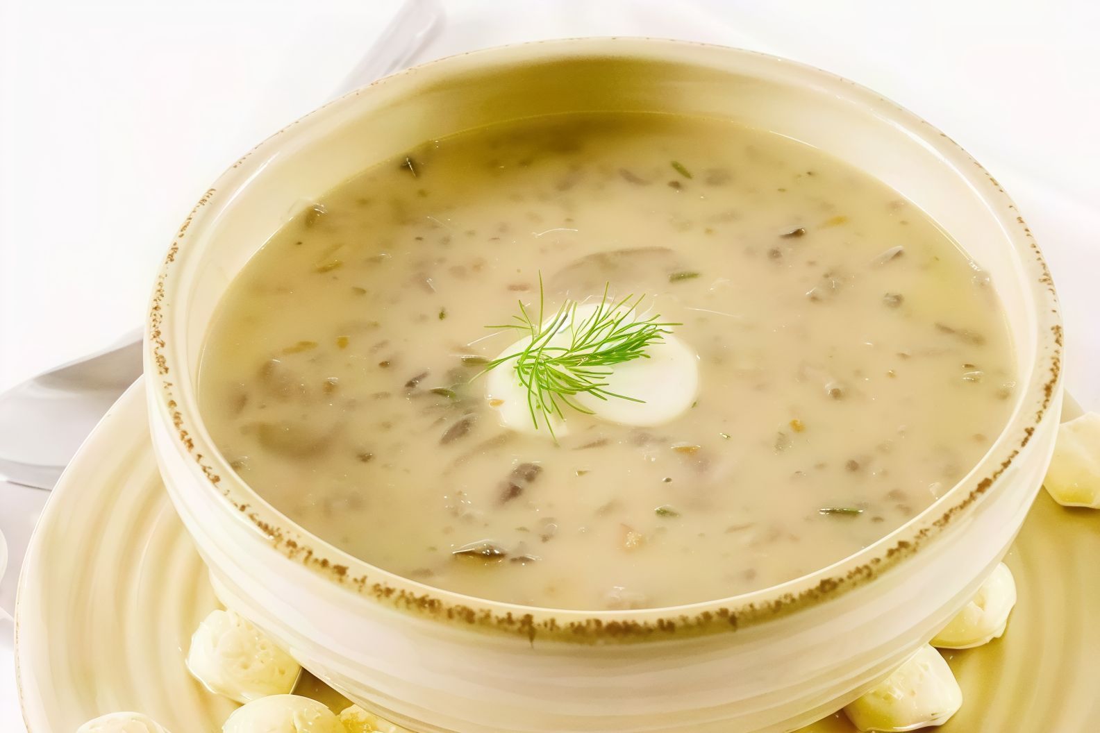 Pigeon Soup
