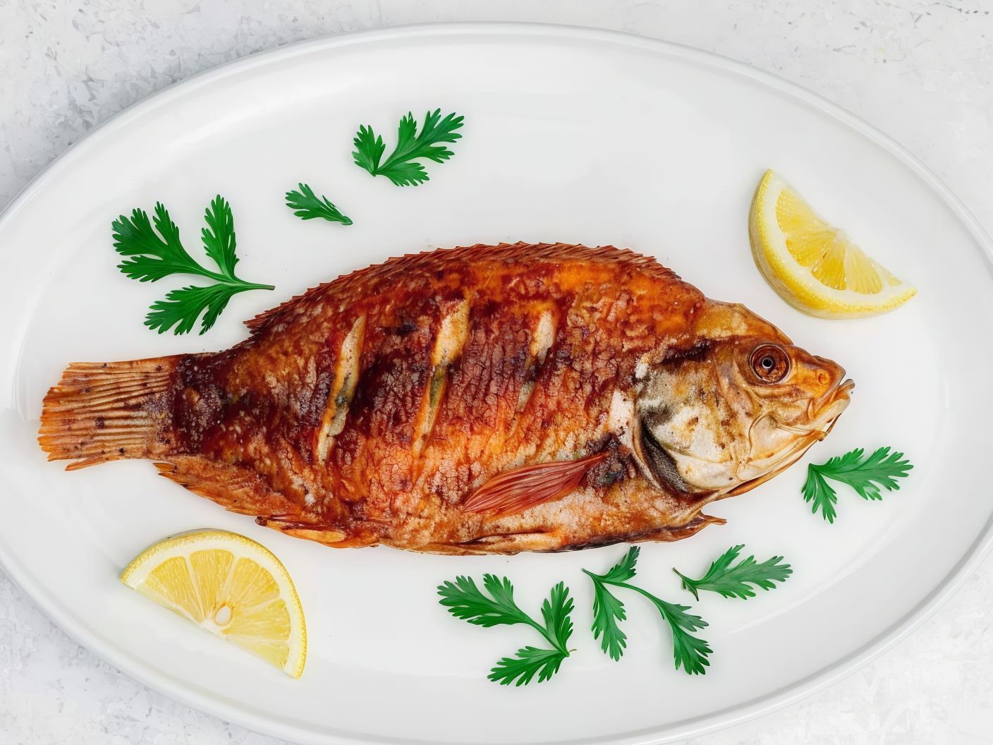 Tilapia