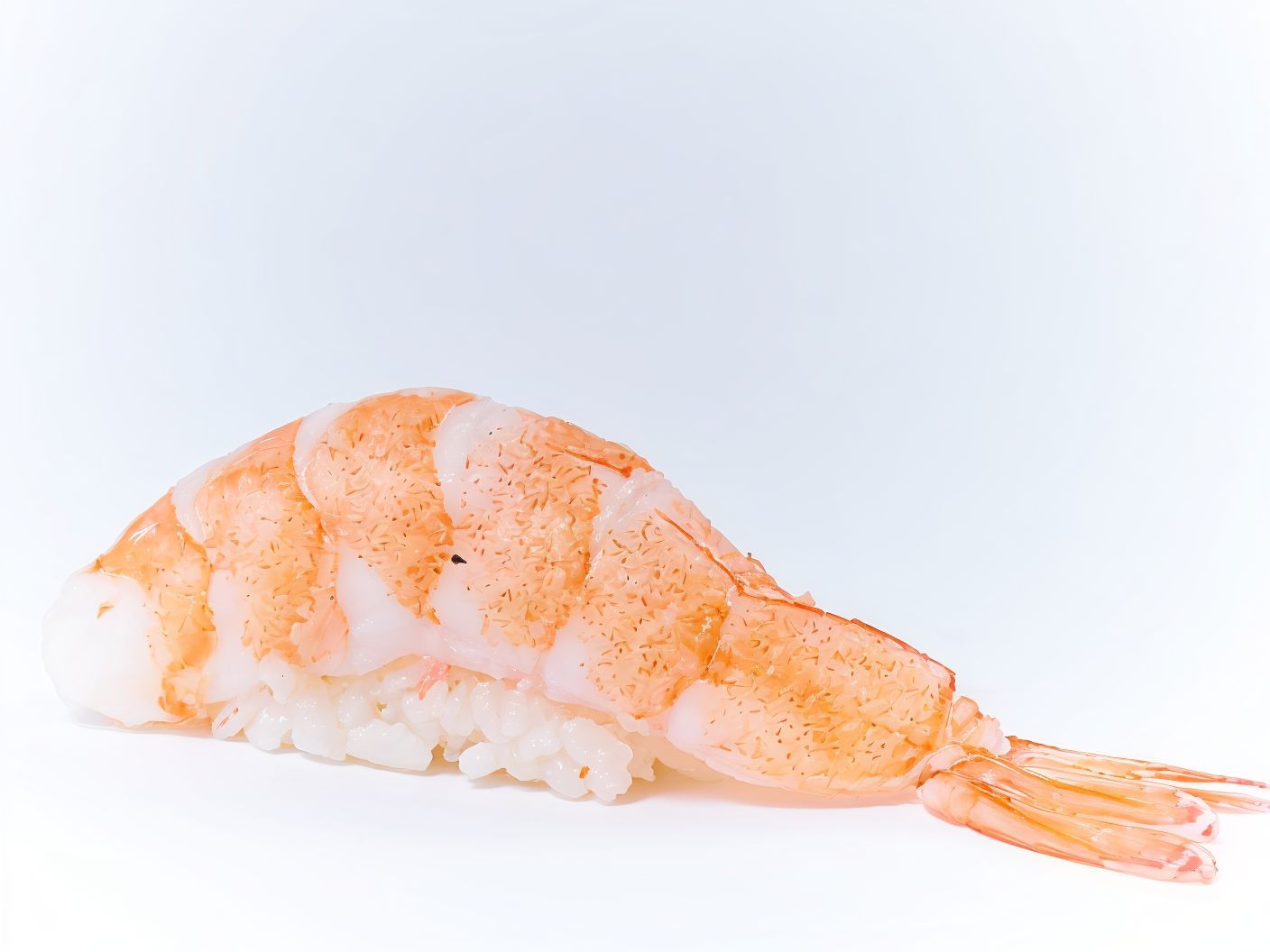 Shrimp Nigiri