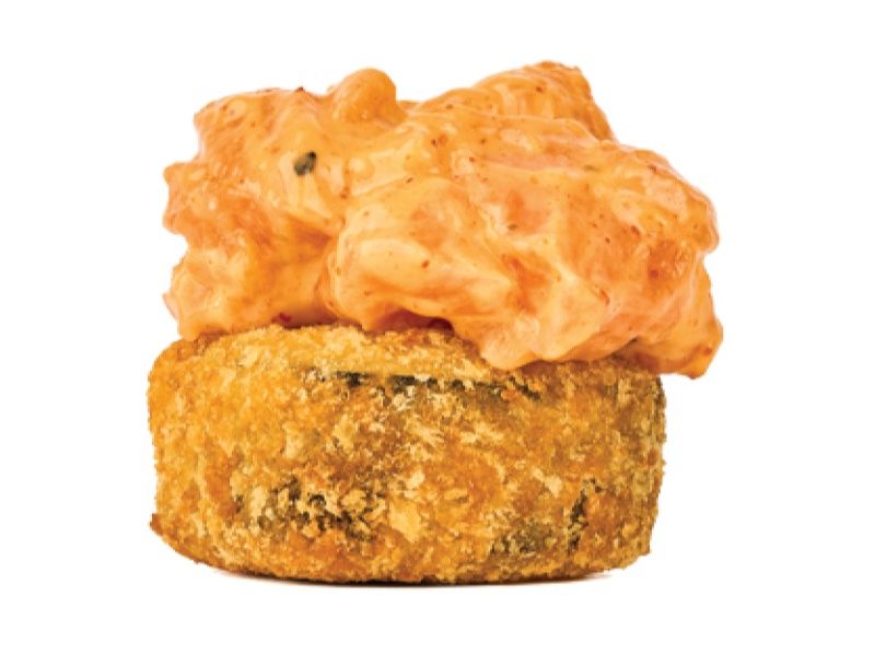Fried And Raw Salmon -6 Pieces