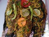 Tilapia Offer