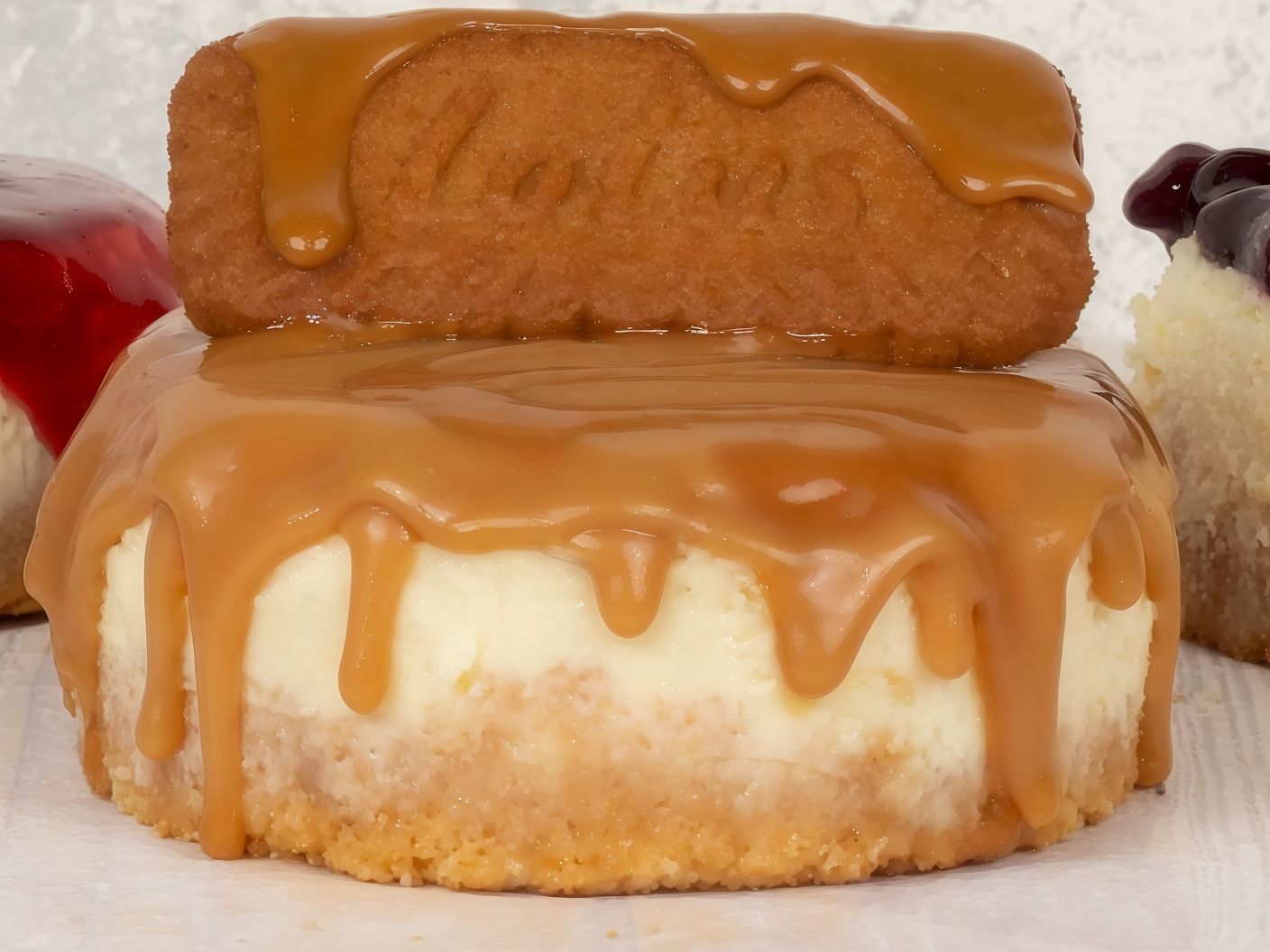 New York Cheesecake Louts