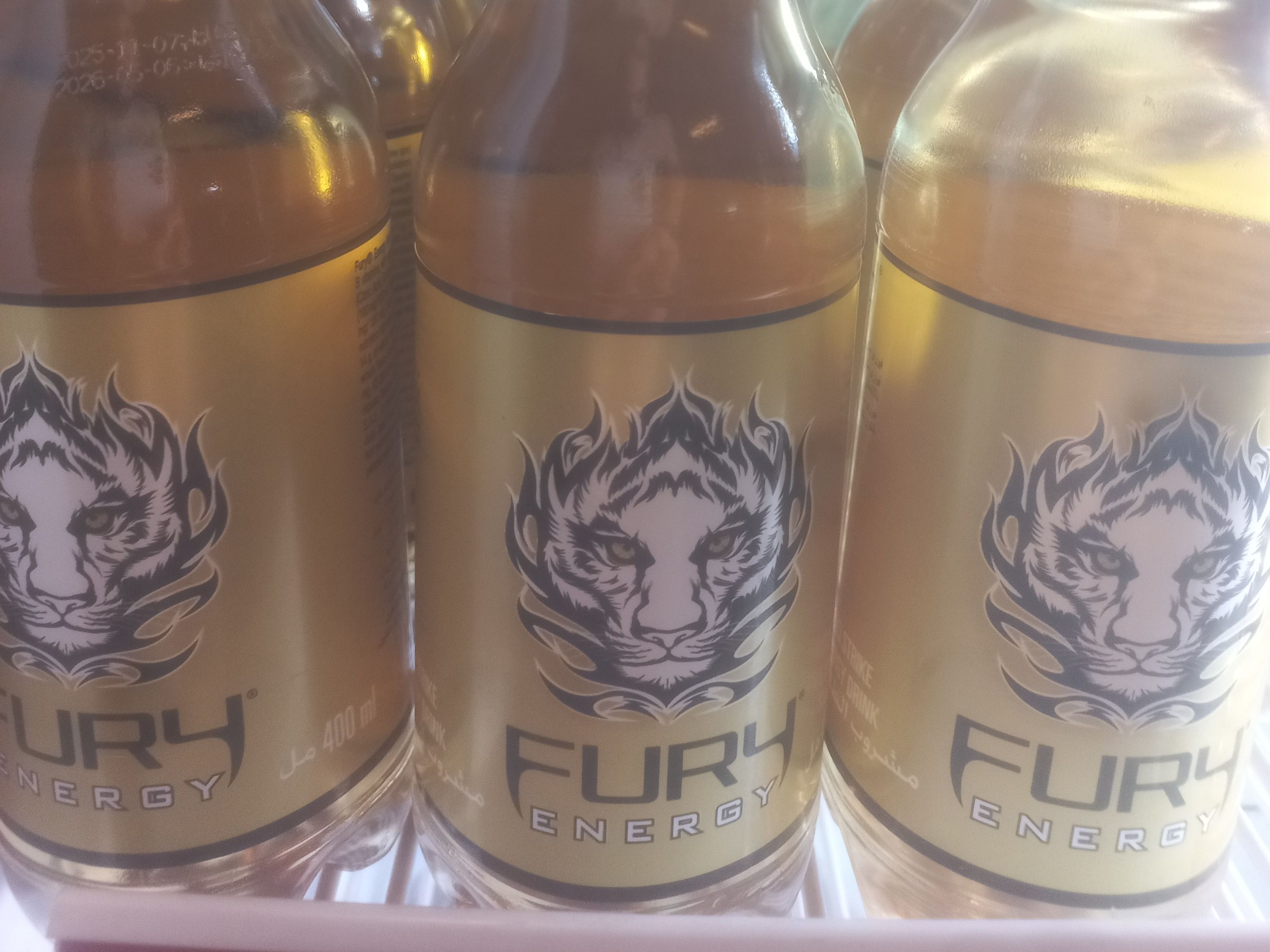 Fury Energy