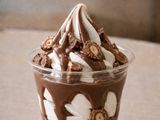 Premium Ice Cream Sundaes