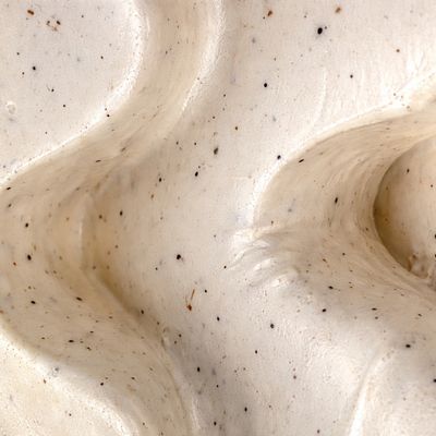 Variegato photo 2