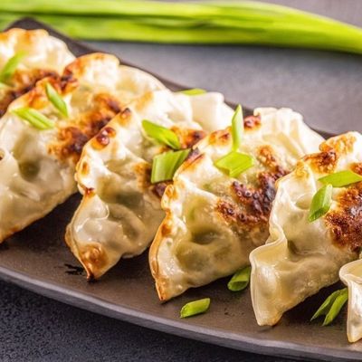 Gyoza Japanese Dumplings