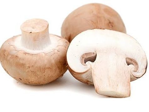 Extra Medium Mushroom