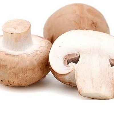 Extra Medium Mushroom