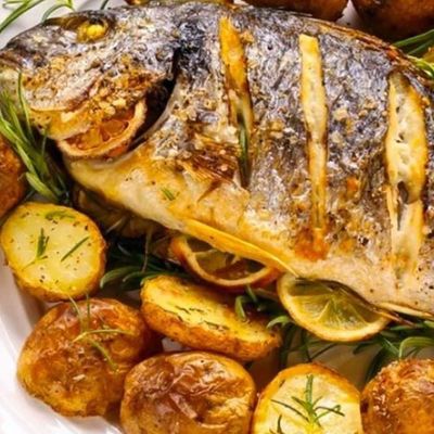 Gilthead Bream Fish