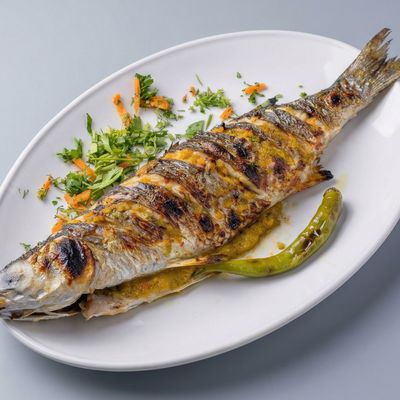 Tilapia and Grey Mullet Fish Meal