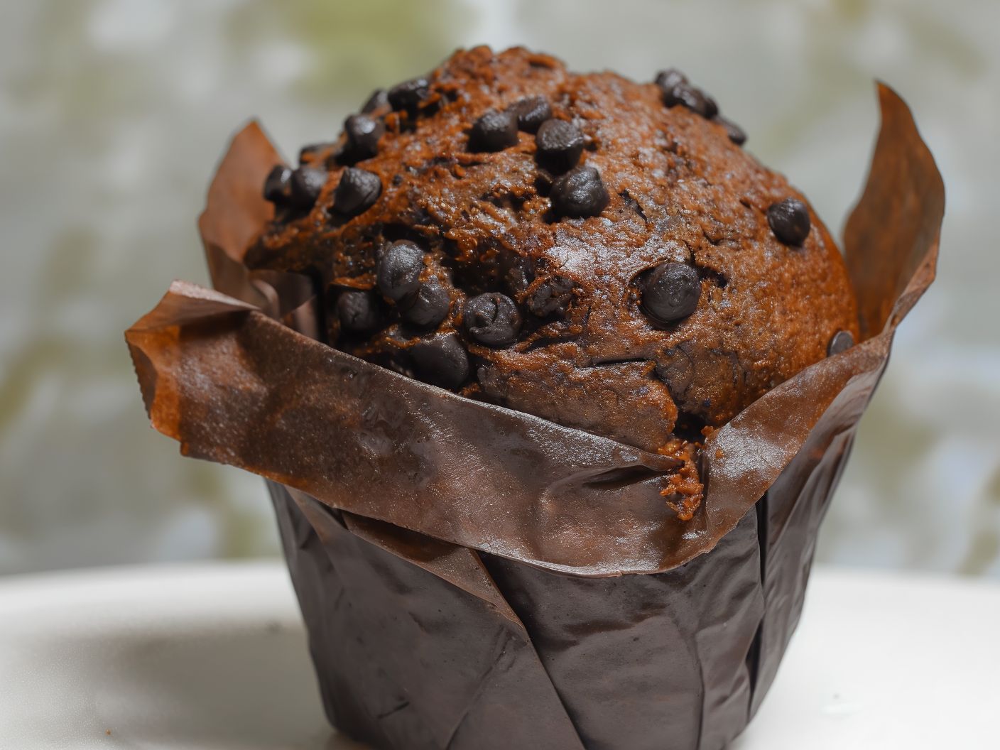Chocolate Muffin