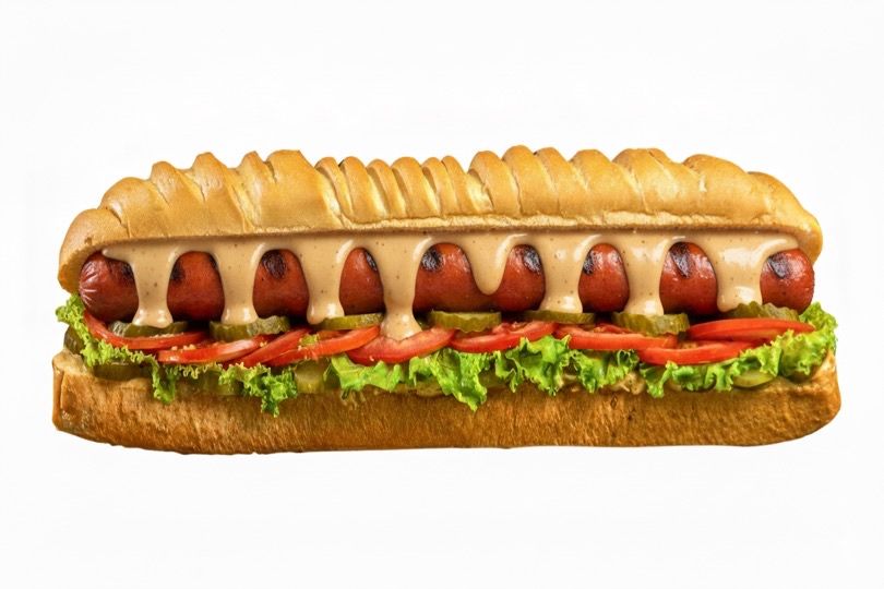 Benzy Dog