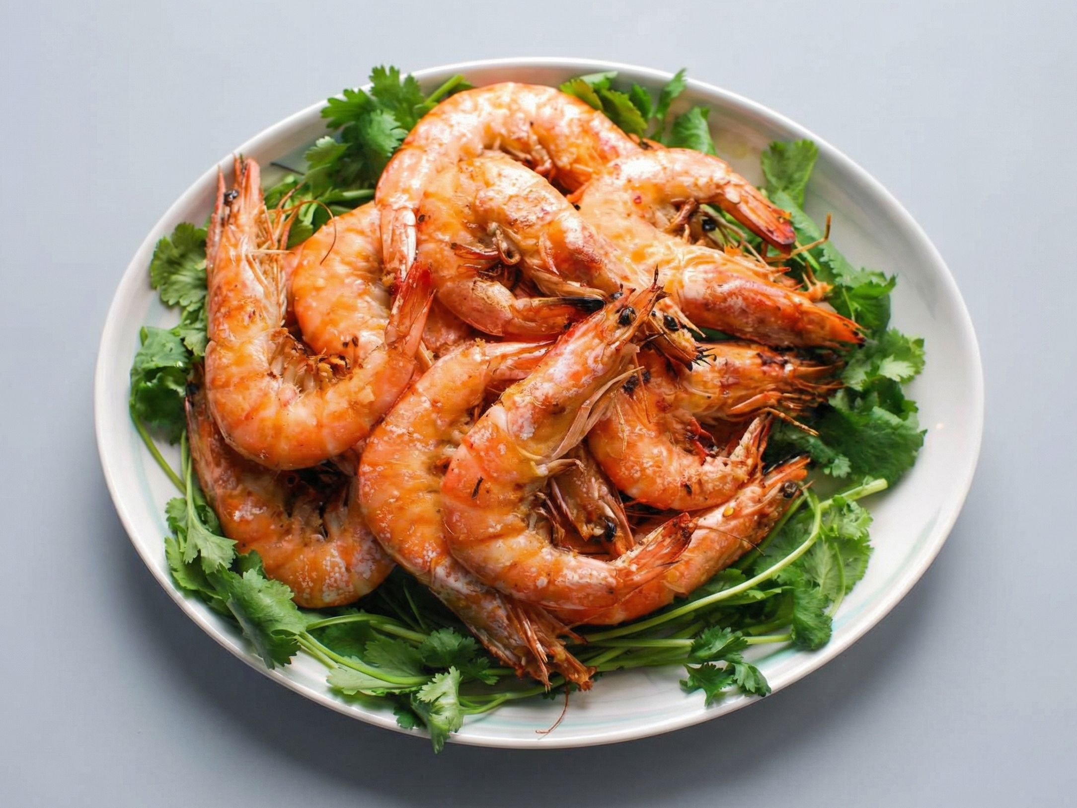 Shrimp