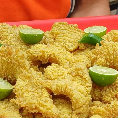 Fish Fillet Meal