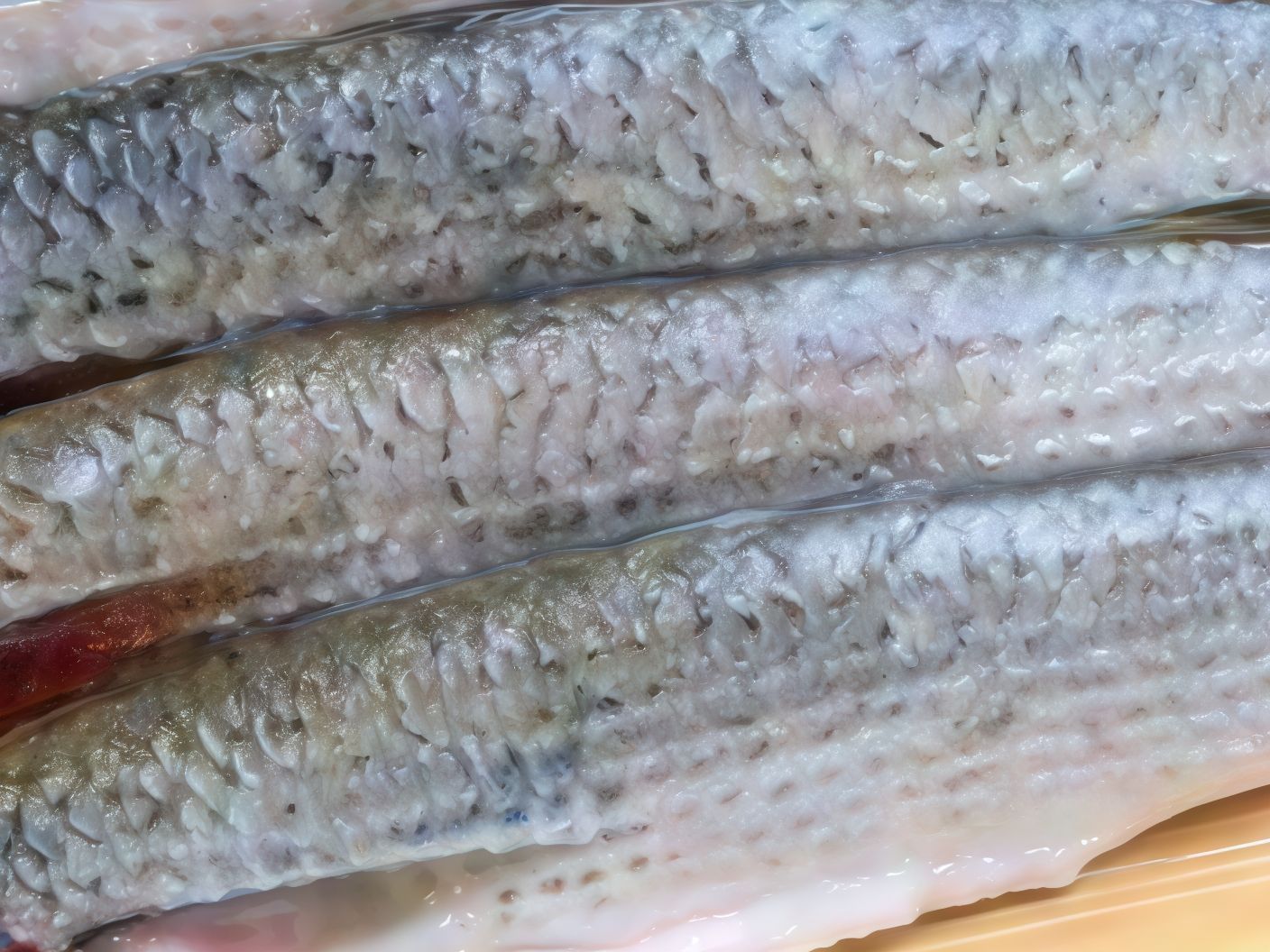 Jumbo Mullet Fesik