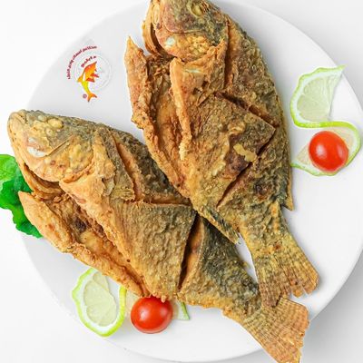 أسماك وادي النيل photo 2
