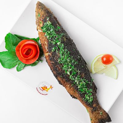 أسماك وادي النيل photo 12